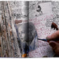 Peter Beard