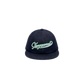 Black cap with green logo on a white background