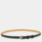 Black belt with a silver buckle on a white background
